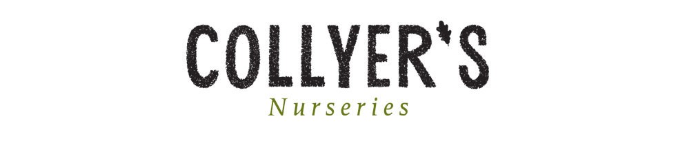 Collyers Nurseries