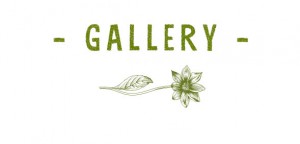 gallery-title