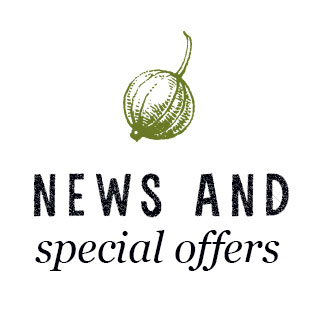 News-&-Special-Offers