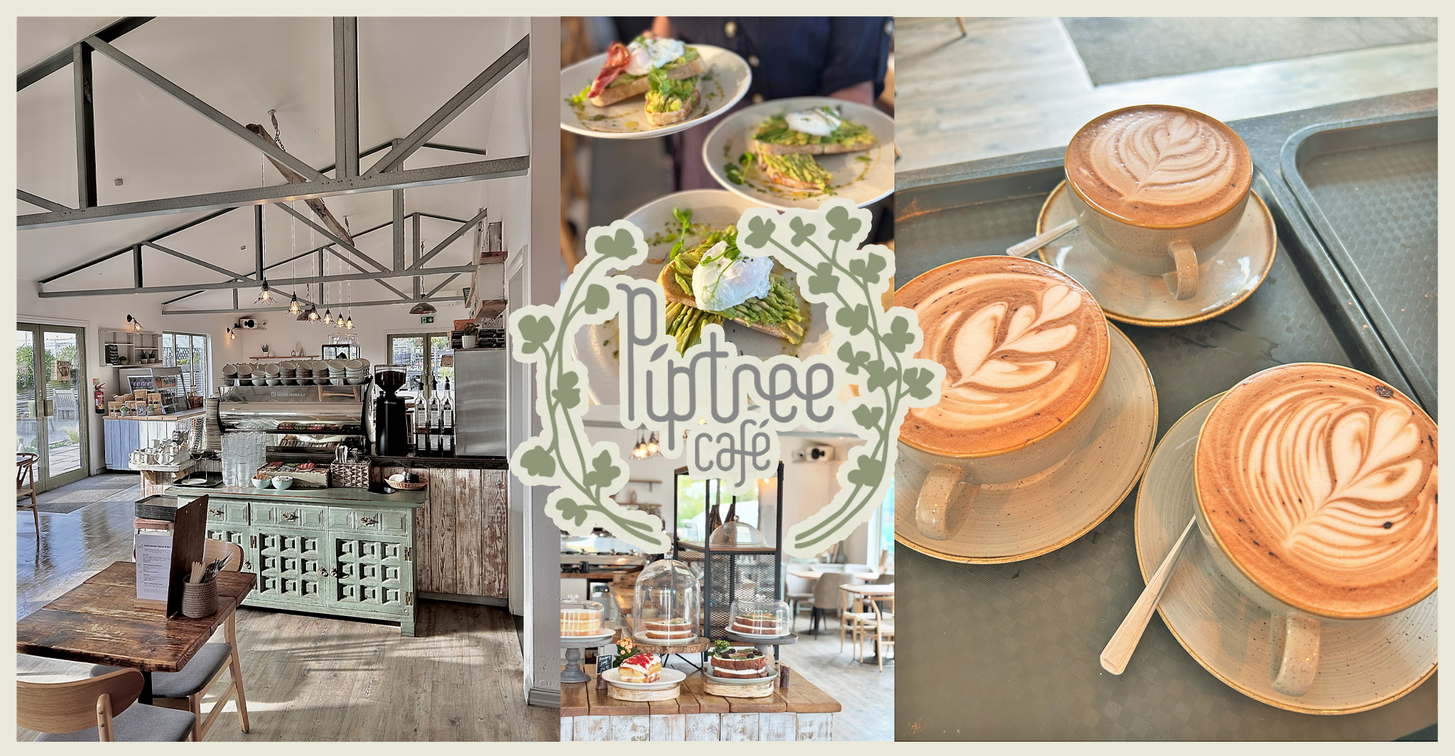 piptree, cafe, piptree cafe, cafe and garden centre